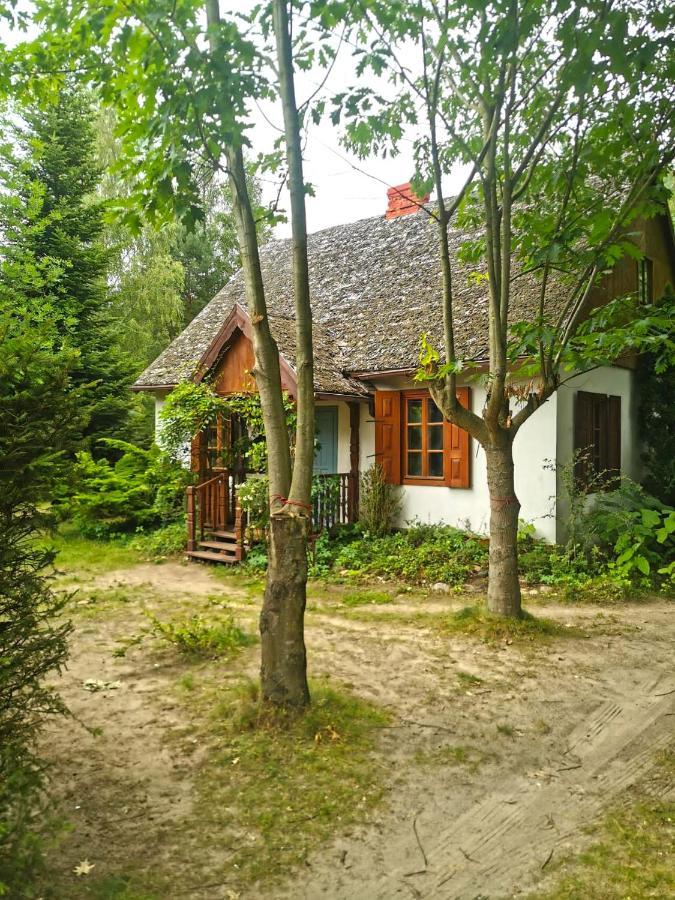 Az Pod Las Zbiczno Exterior foto